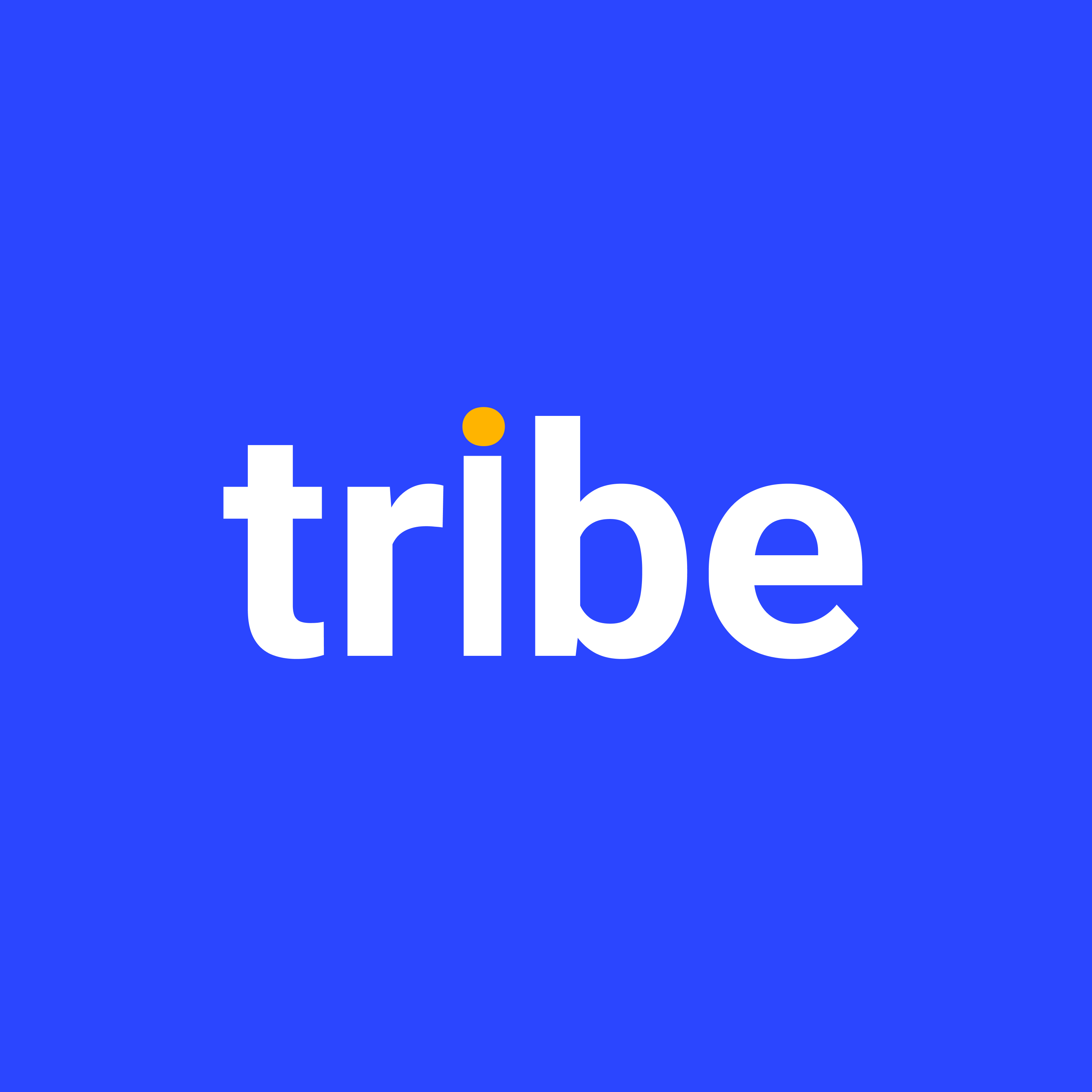 TripTribe Logo